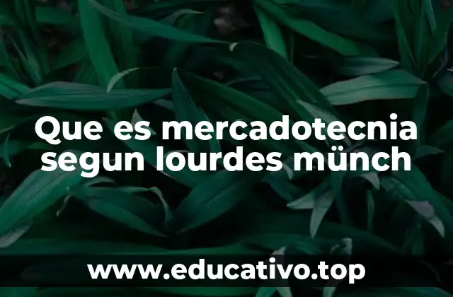 Que es mercadotecnia segun lourdes münch