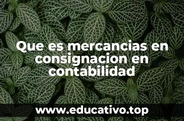 Que es mercancias en consignacion en contabilidad
