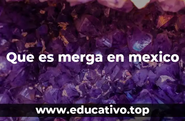 Que es merga en mexico