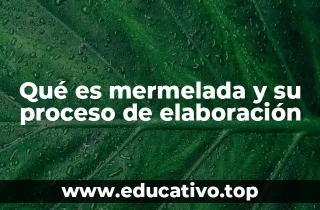 Qué es mermelada y su proceso de elaboración