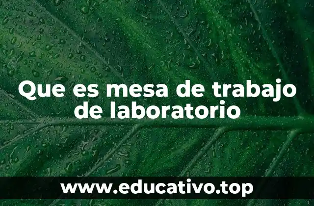 Que es mesa de trabajo de laboratorio