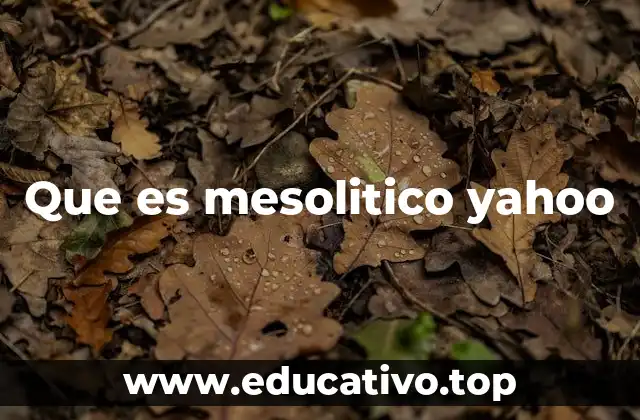 Que es mesolitico yahoo