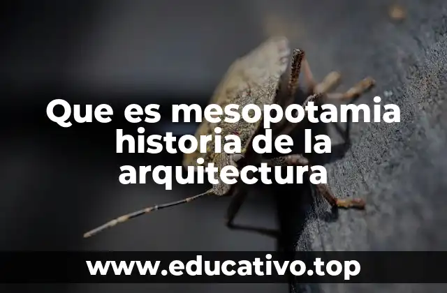 Que es mesopotamia historia de la arquitectura