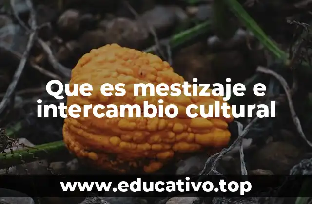 Que es mestizaje e intercambio cultural