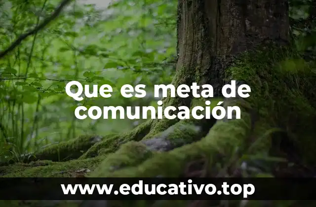 Que es meta de comunicación