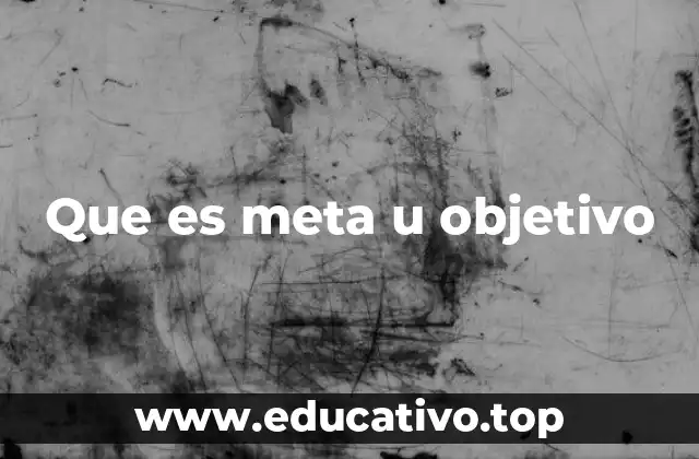 Que es meta u objetivo