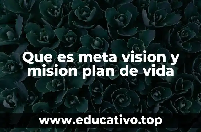 Que es meta vision y mision plan de vida