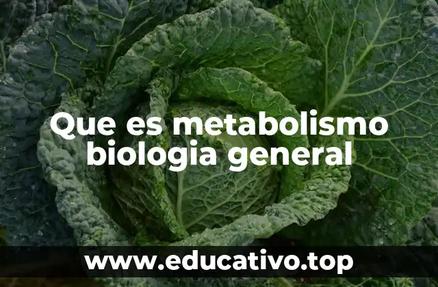 Que es metabolismo biologia general