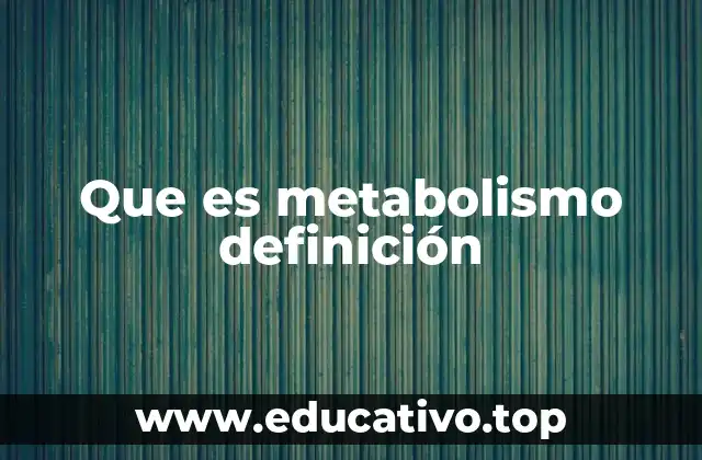 Que es metabolismo definición