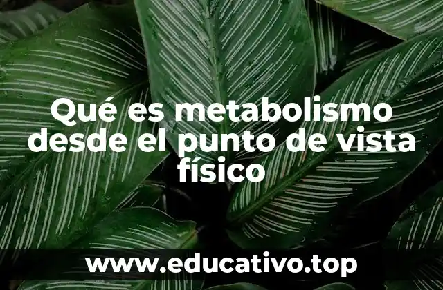 Qué es metabolismo desde el punto de vista físico
