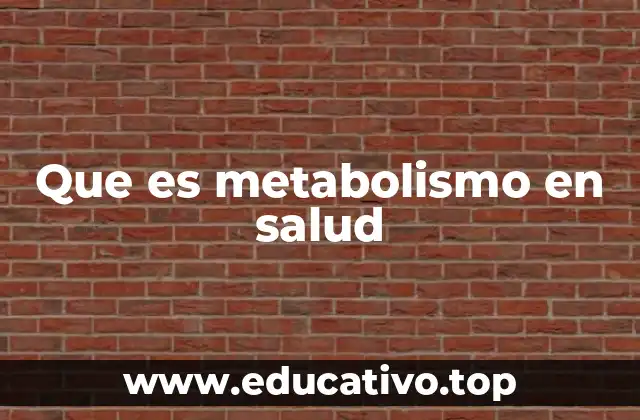Que es metabolismo en salud