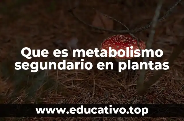 Que es metabolismo segundario en plantas