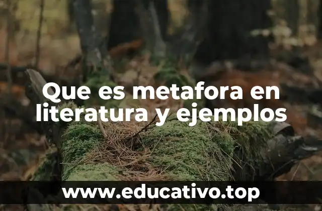 Que es metafora en literatura y ejemplos