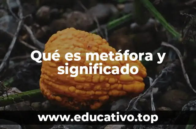 Qué es metáfora y significado