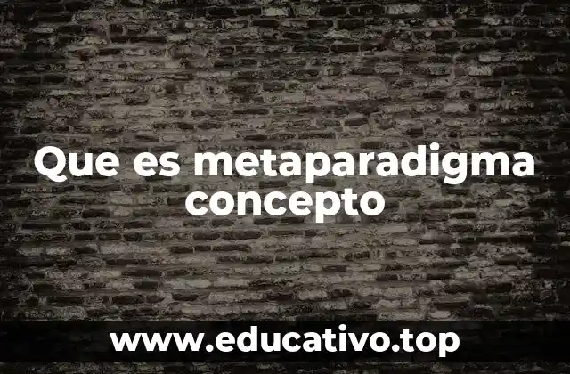 Que es metaparadigma concepto