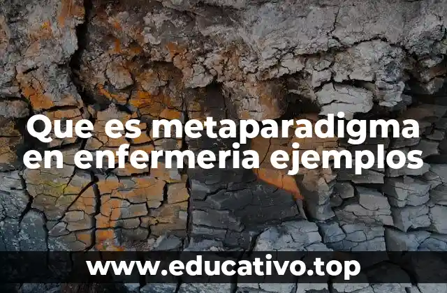 Que es metaparadigma en enfermeria ejemplos