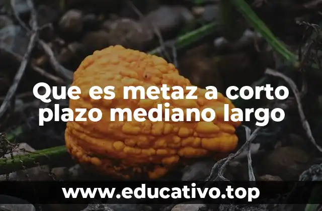 Que es metaz a corto plazo mediano largo