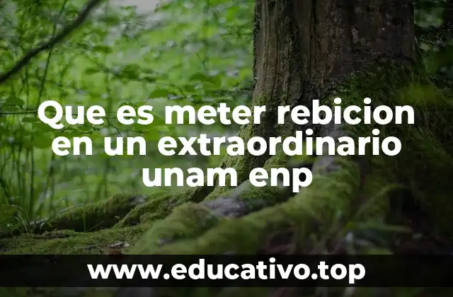 Que es meter rebicion en un extraordinario unam enp