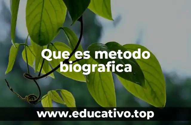 Que es metodo biografica