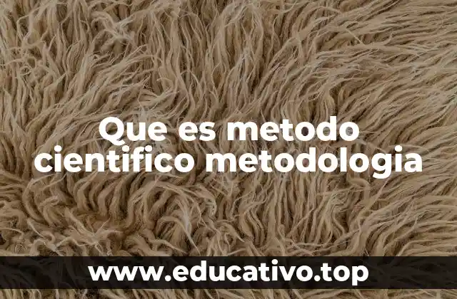 Que es metodo cientifico metodologia
