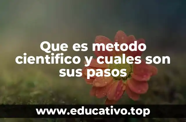 Que es metodo cientifico y cuales son sus pasos