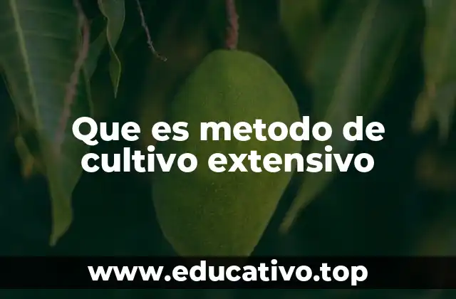 Que es metodo de cultivo extensivo