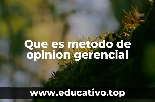 Que es metodo de opinion gerencial