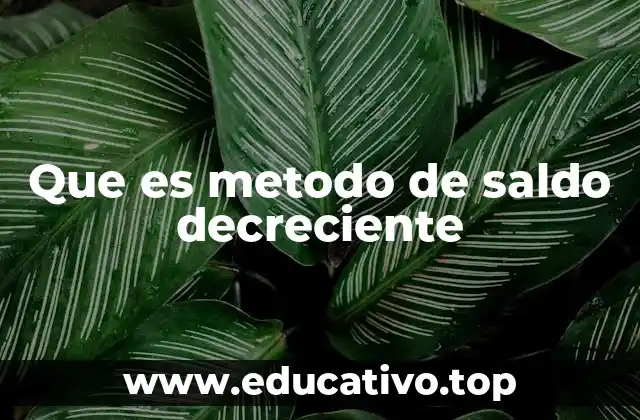 Que es metodo de saldo decreciente