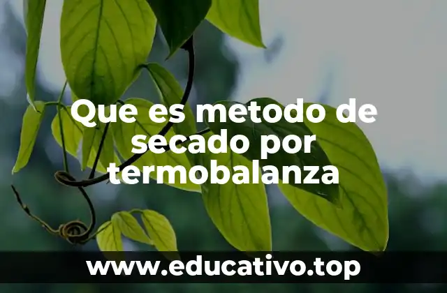 Que es metodo de secado por termobalanza