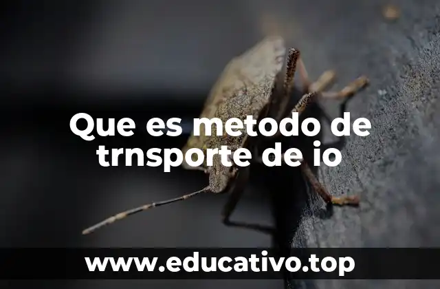 Que es metodo de trnsporte de io