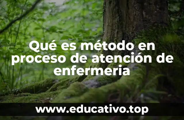Qué es método en proceso de atención de enfermeria