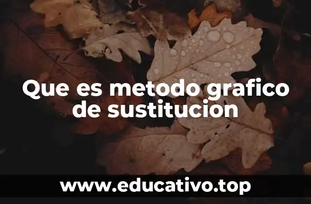 Que es metodo grafico de sustitucion