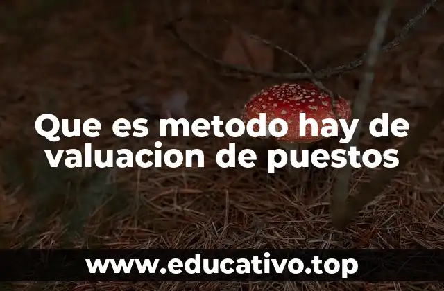 Que es metodo hay de valuacion de puestos