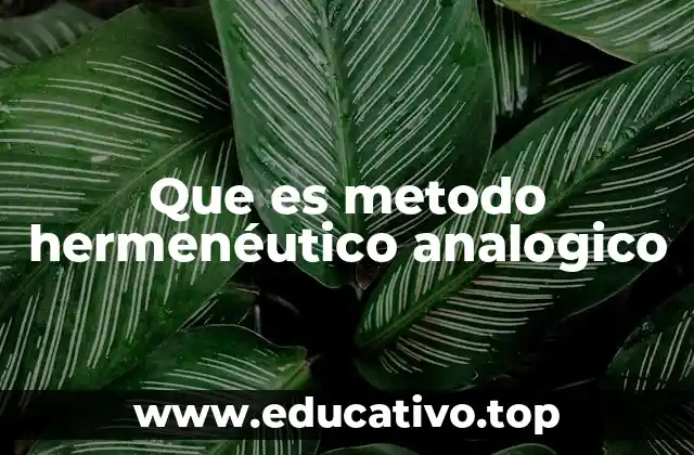 Que es metodo hermenéutico analogico