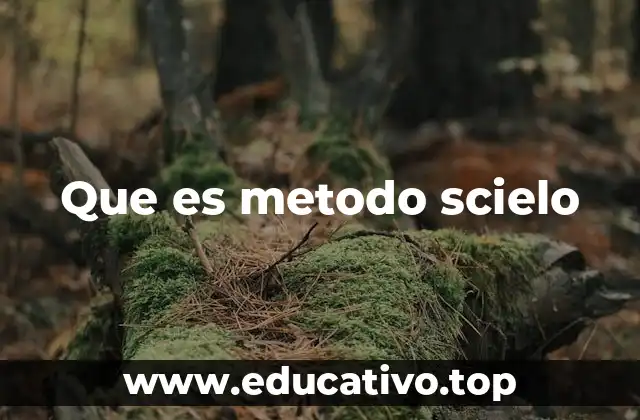 Que es metodo scielo