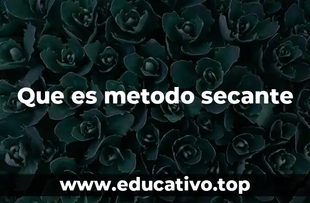 Que es metodo secante