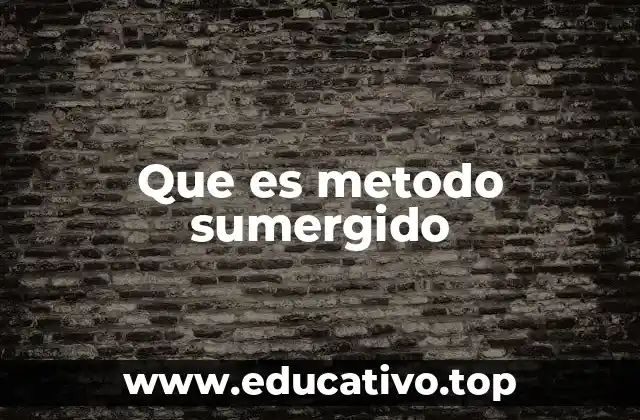 Aplicaciones del método sumergido en ingeniería civil