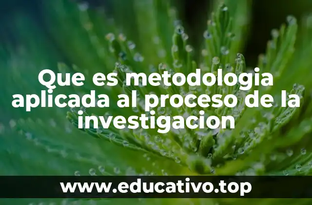 Que es metodologia aplicada al proceso de la investigacion
