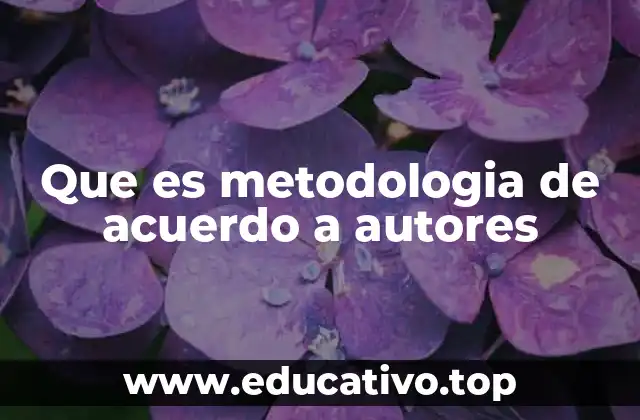 Que es metodologia de acuerdo a autores