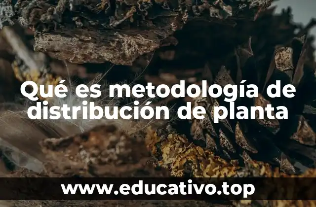 Qué es metodología de distribución de planta