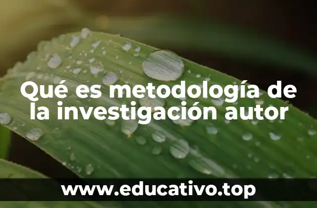 Qué es metodología de la investigación autor