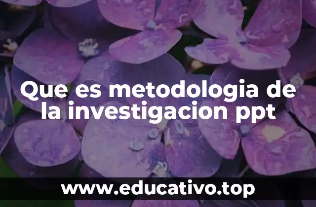 Que es metodologia de la investigacion ppt