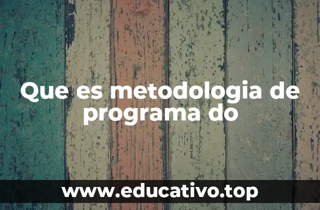 Que es metodologia de programa do