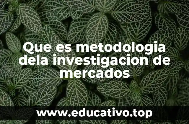 Que es metodologia dela investigacion de mercados