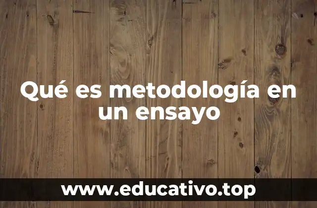 Qué es metodología en un ensayo