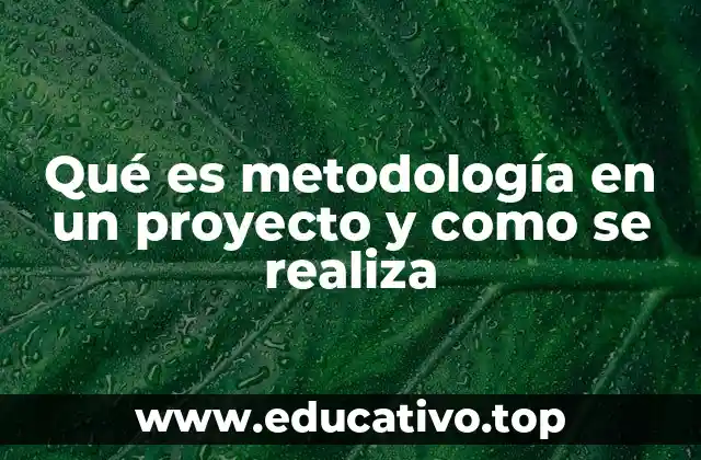 Cómo las metodologías guían el desarrollo de un proyecto