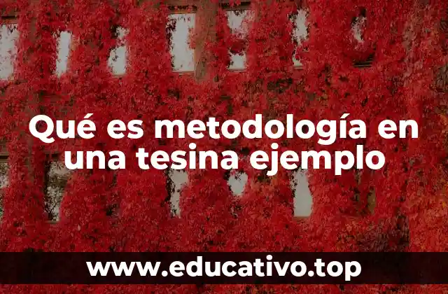 Qué es metodología en una tesina ejemplo