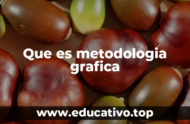 Que es metodologia grafica