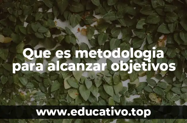 Que es metodologia para alcanzar objetivos