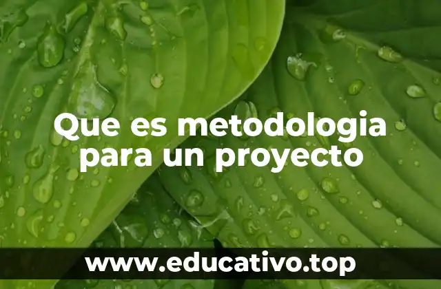 Que es metodologia para un proyecto